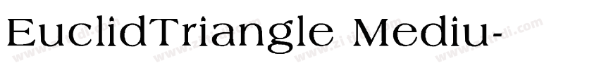EuclidTriangle Mediu字体转换